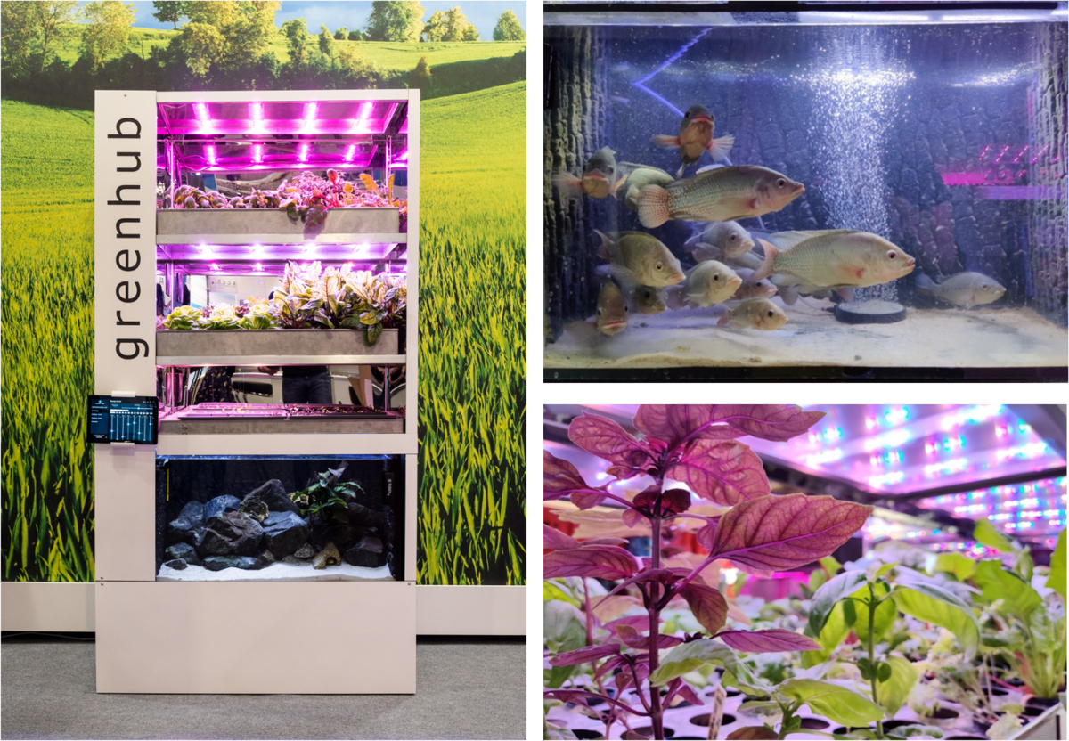 enlarge the image: A picture containing the technology demonstrator greenhub, fish and plants