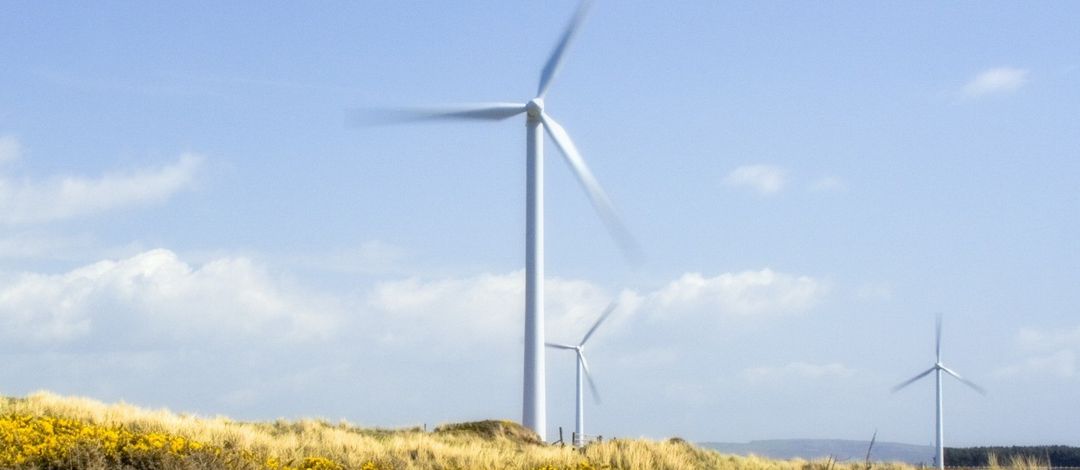 Windräder auf einem Feld. Foto: COLOURBOX