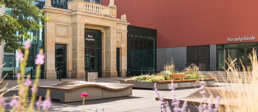 Architekturfotografie: historischer Torbogen aus braunem Stein, das Bild ist im Sommer aufgenommen. Es sind keine Menschen auf dem Campus zu sehen.