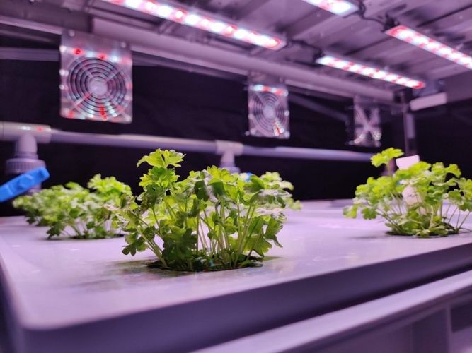 Startup Greenhub, Picture: Greenhub