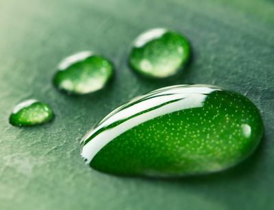 Wassertropfen auf Blatt, Foto: Colourbox